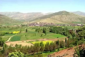 آرمرده بانه؛ مهربانی و مرز