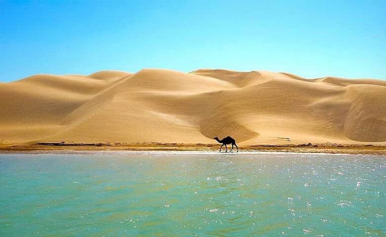 راهنمای سفر به سیستان و بلوچستان