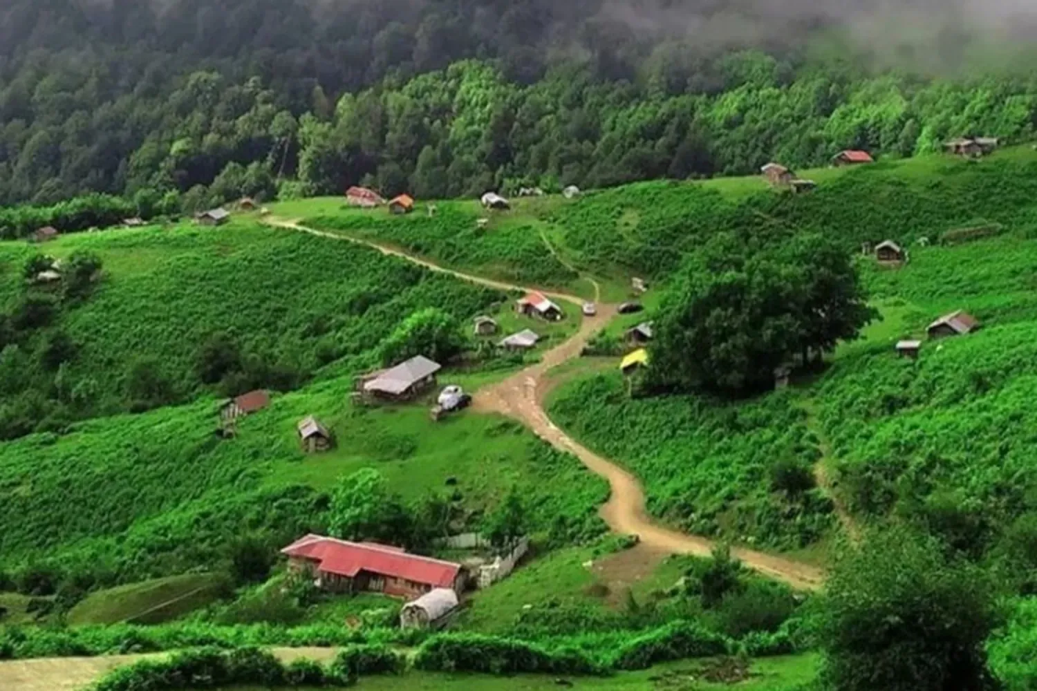 راهنمای سفر به روستای کندلات گیلان؛ جنگلپیمایی و اقامتگاه بومی