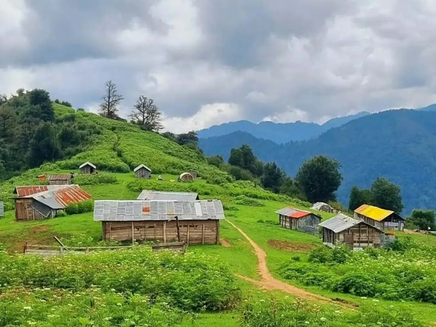 راهنمای سفر به روستای کندلات گیلان؛ جنگلپیمایی و اقامتگاه بومی